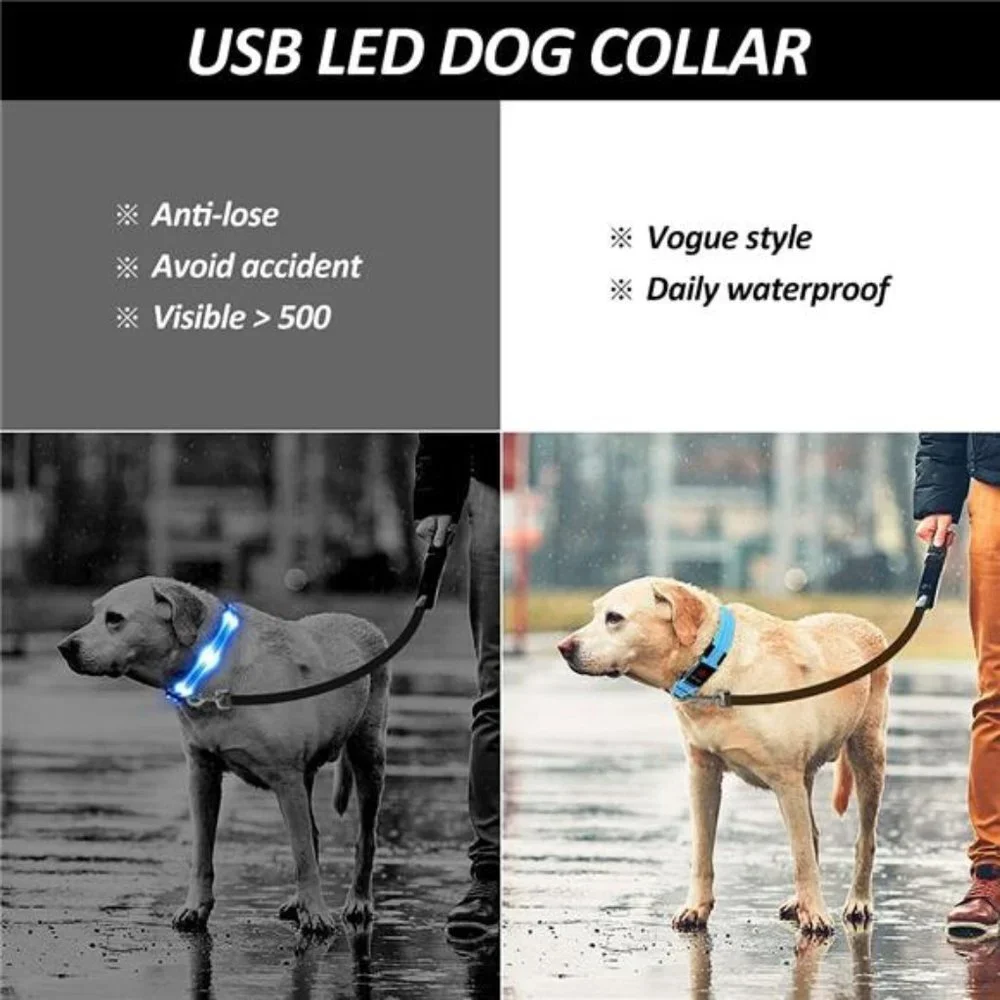 Led Dog Collar, Rechargeable Light Up Collar Waterproof, Blue